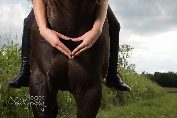Pulaski Horse Senior Pictures