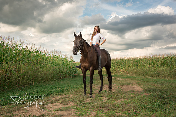 Pulaski Horse Senior Pictures
